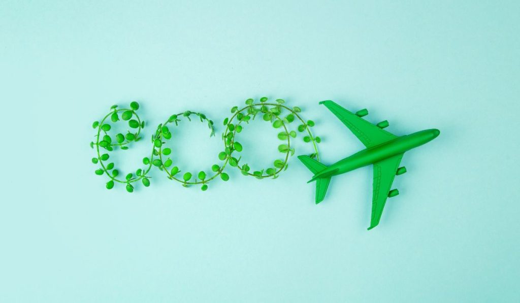 Sustainable Aviation Fuel